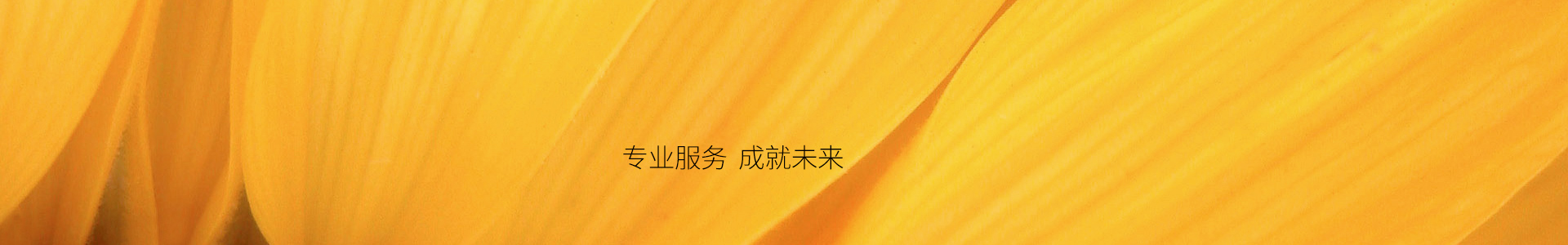 服务理念